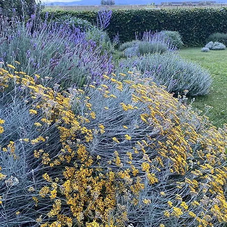 Apartmán Cuna House